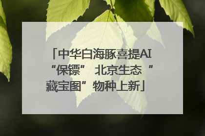 中华白海豚喜提AI“保镖” 北京生态“藏宝图”物种上新