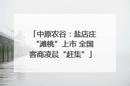 中原农谷：盐店庄“滩桃”上市 全国客商凌晨“赶集”