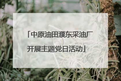 中原油田濮东采油厂开展主题党日活动