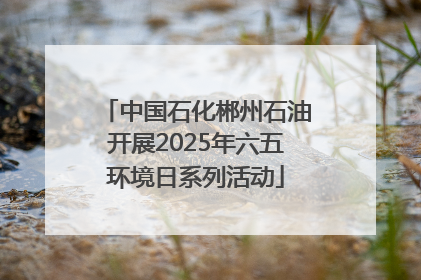 中国石化郴州石油开展2025年六五环境日系列活动