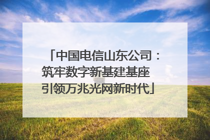 中国电信山东公司：筑牢数字新基建基座 引领万兆光网新时代