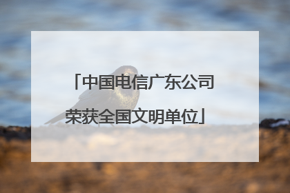 中国电信广东公司荣获全国文明单位