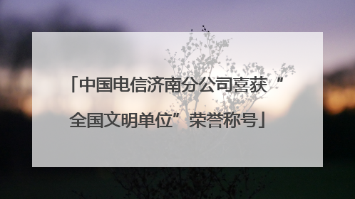 中国电信济南分公司喜获“全国文明单位”荣誉称号