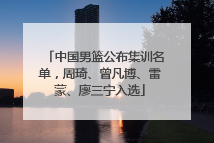 中国男篮公布集训名单，周琦、曾凡博、雷蒙、廖三宁入选