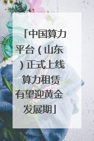 中国算力平台（山东）正式上线 算力租赁有望迎黄金发展期