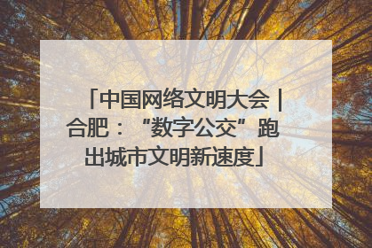 中国网络文明大会｜合肥：“数字公交”跑出城市文明新速度