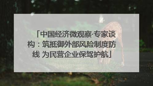 中国经济微观察·专家谈构：筑抵御外部风险制度防线 为民营企业保驾护航