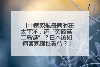 中国双航母同时在太平洋，还“突破第二岛链”？日本该如何客观理性看待？