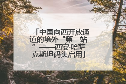中国向西开放通道的境外“第一站”——西安·哈萨克斯坦码头启用