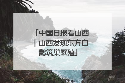 中国日报看山西｜山西发现东方白鹳筑巢繁殖
