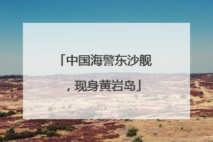 中国海警东沙舰，现身黄岩岛