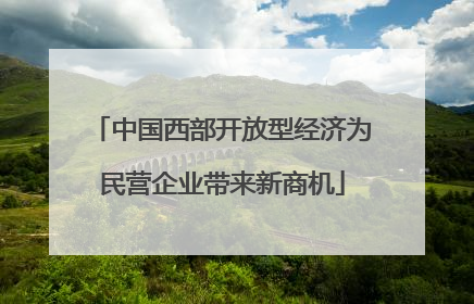 中国西部开放型经济为民营企业带来新商机