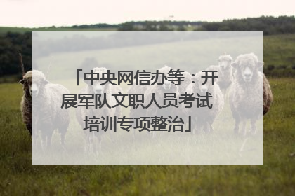 中央网信办等：开展军队文职人员考试培训专项整治
