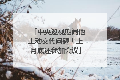 中央巡视期间他主动交代问题！上月底还参加会议