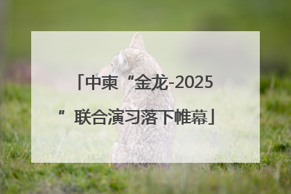 中柬“金龙-2025”联合演习落下帷幕