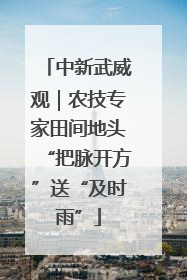中新武威观｜农技专家田间地头“把脉开方”送“及时雨”