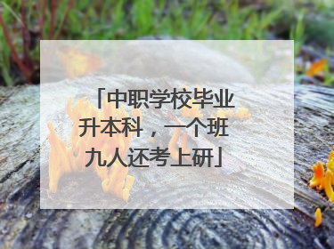 中职学校毕业升本科，一个班九人还考上研