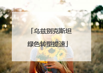 乌兹别克斯坦绿色转型提速