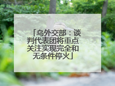 乌外交部：谈判代表团将重点关注实现完全和无条件停火