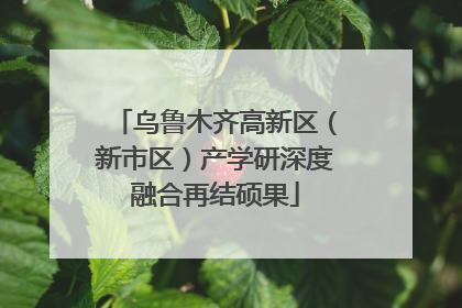 乌鲁木齐高新区（新市区）产学研深度融合再结硕果