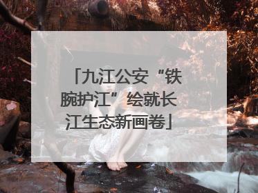 九江公安“铁腕护江”绘就长江生态新画卷