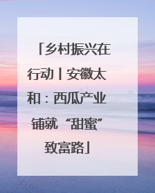乡村振兴在行动丨安徽太和：西瓜产业铺就“甜蜜”致富路
