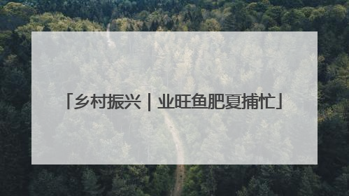 乡村振兴｜业旺鱼肥夏捕忙