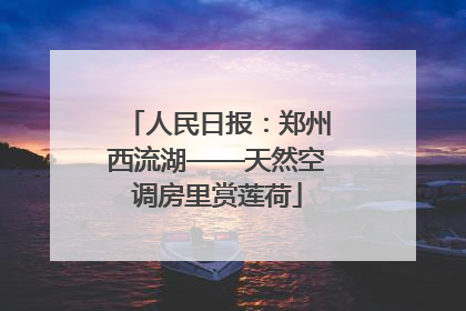 人民日报：郑州西流湖——天然空调房里赏莲荷