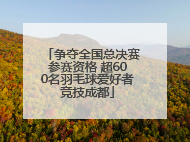 争夺全国总决赛参赛资格 超600名羽毛球爱好者竞技成都