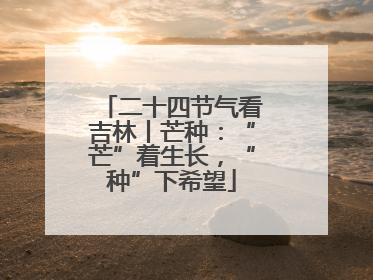 二十四节气看吉林丨芒种：“芒”着生长，“种”下希望