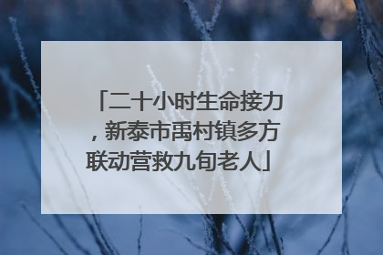二十小时生命接力，新泰市禹村镇多方联动营救九旬老人
