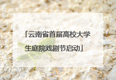 云南省首届高校大学生庭院戏剧节启动