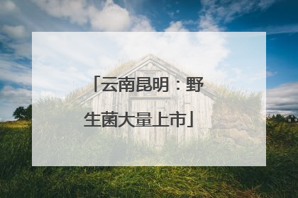 云南昆明：野生菌大量上市