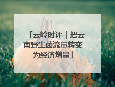 云岭时评｜把云南野生菌流量转变为经济增量