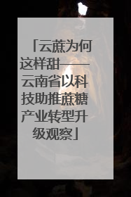 云蔗为何这样甜——云南省以科技助推蔗糖产业转型升级观察