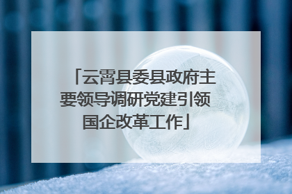 云霄县委县政府主要领导调研党建引领国企改革工作
