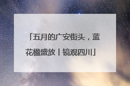 五月的广安街头，蓝花楹盛放丨镜观四川