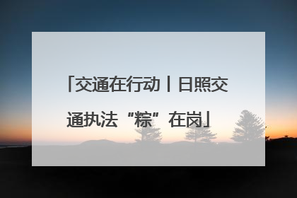 交通在行动丨日照交通执法“粽”在岗