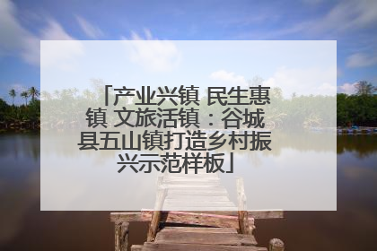 产业兴镇 民生惠镇 文旅活镇：谷城县五山镇打造乡村振兴示范样板