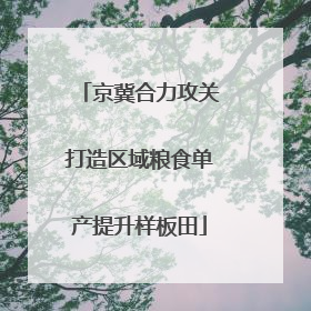 京冀合力攻关打造区域粮食单产提升样板田