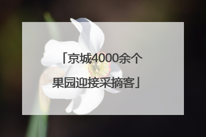 京城4000余个果园迎接采摘客