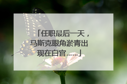 任职最后一天，马斯克眼角淤青出现在白宫……