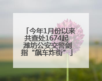 今年1月份以来共查处1674起 潍坊公安交警剑指“飙车炸街”