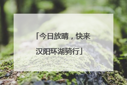 今日放晴，快来汉阳环湖骑行