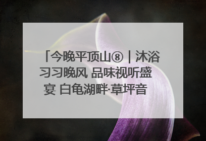 今晚平顶山⑧｜沐浴习习晚风 品味视听盛宴 白龟湖畔·草坪音乐会激情上演