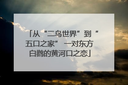 从“二鸟世界”到“五口之家” 一对东方白鹳的黄河口之恋