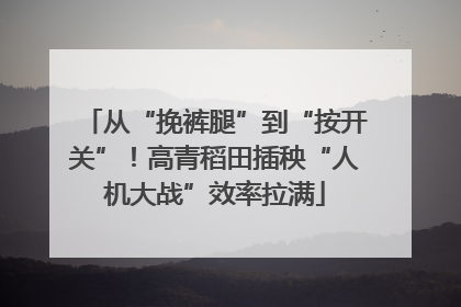 从“挽裤腿”到“按开关”！高青稻田插秧“人机大战”效率拉满