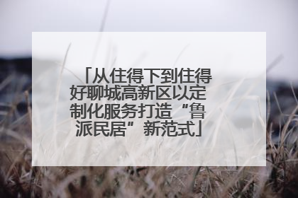 从住得下到住得好聊城高新区以定制化服务打造“鲁派民居”新范式