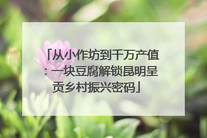 从小作坊到千万产值：一块豆腐解锁昆明呈贡乡村振兴密码