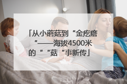 从小蘑菇到“金疙瘩“——海拔4500米的““菇“事新传